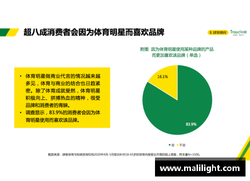 利用体育明星资源优势推动品牌营销与社会责任的融合发展