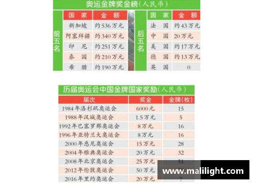 全球体育明星奖金排行榜前十名揭晓收入惊人令人瞩目